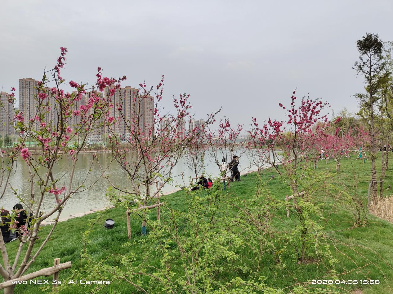 vivonex3深度测评王自如,vivo追求极致用户体验