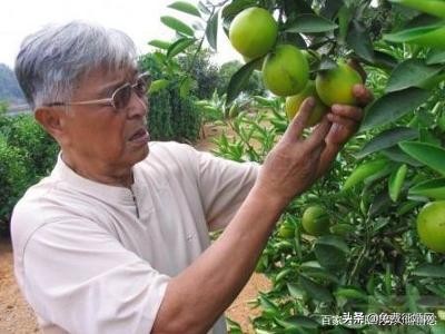 烟草大王为何入狱,烟草大王被判死刑了吗