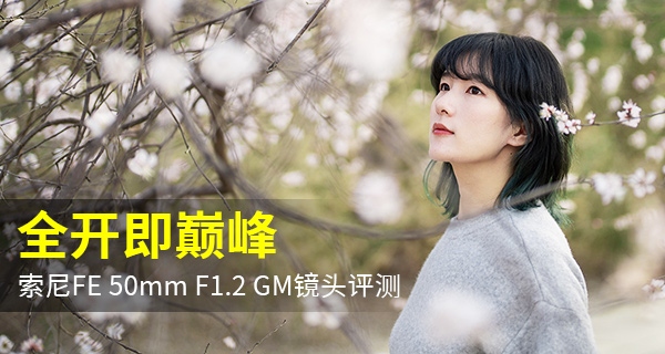 索尼fe50mmf1.2gm拍人像,索尼全画幅fe24mmf1.4测评