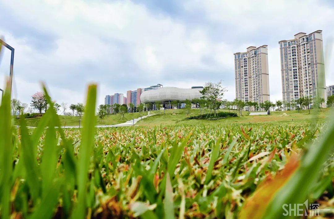 深圳龙华公园对外开放了吗,深圳市龙华新开的公园