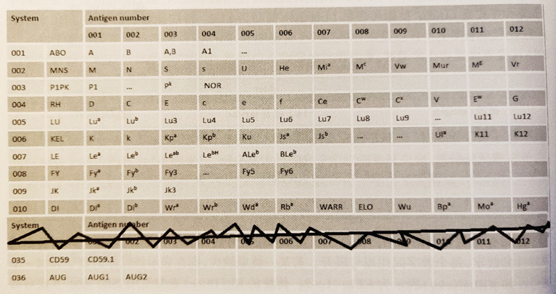 怎样检测自己是阴性还是阳性血型,血型报告单显示阳性4+