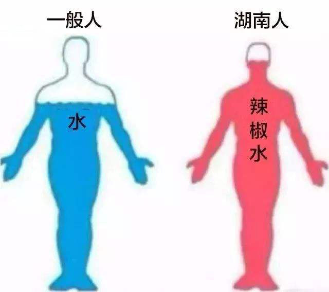 被辣“毁掉”了的中国胃