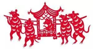 小白鼠很接近人类,我们对仓鼠的喜爱写一写