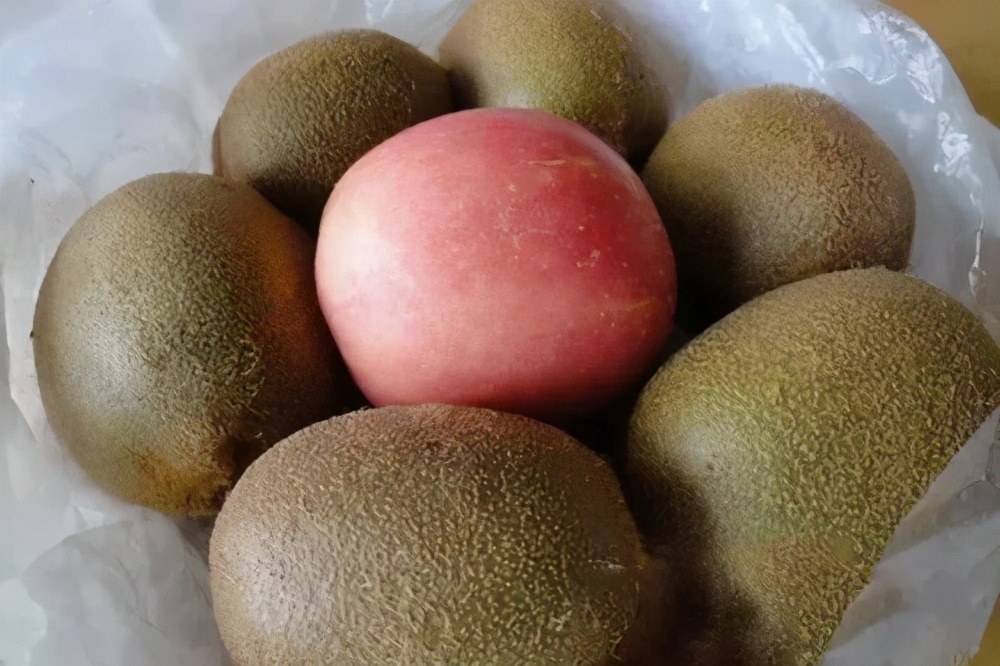 西红柿用的催熟剂对人有害吗,西红柿催熟剂用早了有什么危害