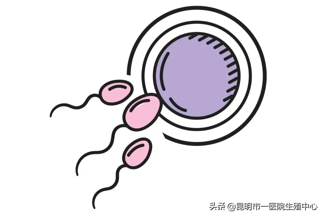 备孕男性也需要做孕前检查,超声检查影响备孕吗