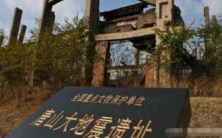 知名童星沦为阶下囚,童星沦落为阶下囚