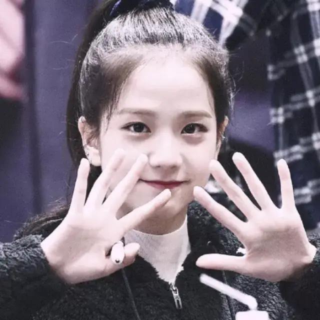 blackpink韩国爱豆粉丝,blackpink的韩国明星粉丝