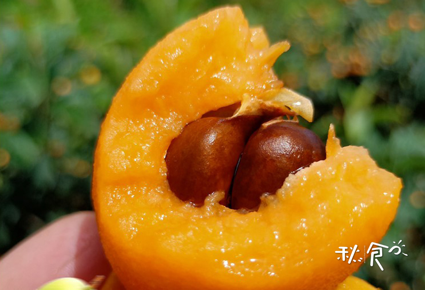 小满季节三种水果,小满季节三不吃夏天多吃什么水果