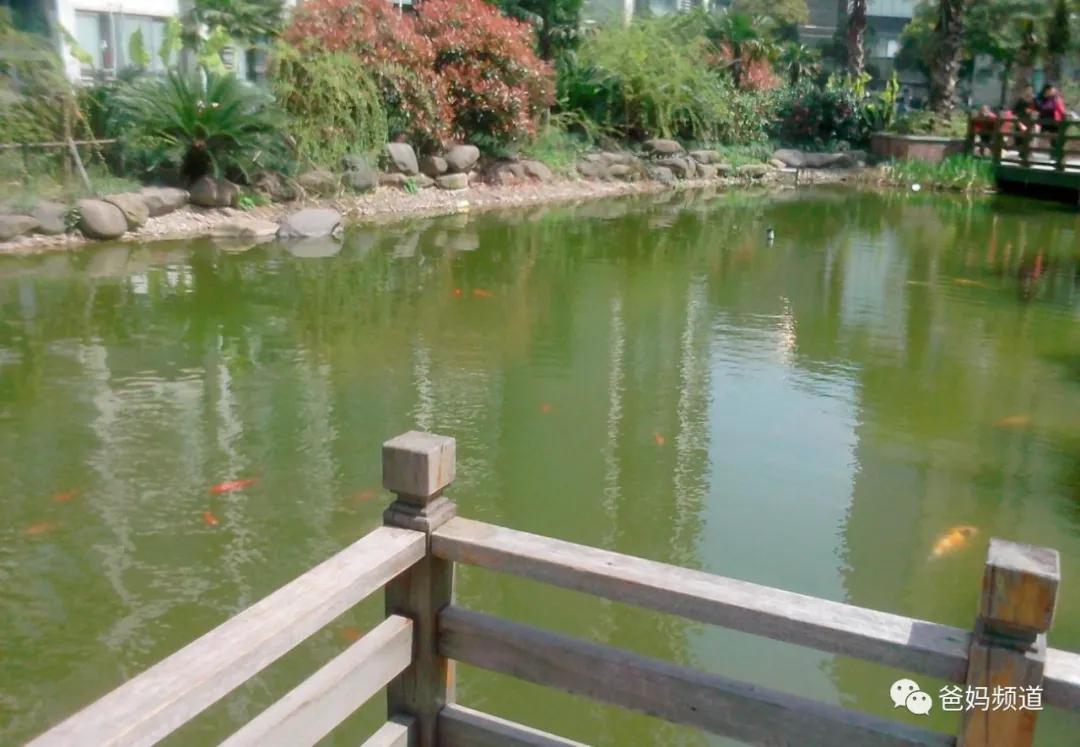 好玩又轻松的户外运动,让你又爱又恨的户外运动