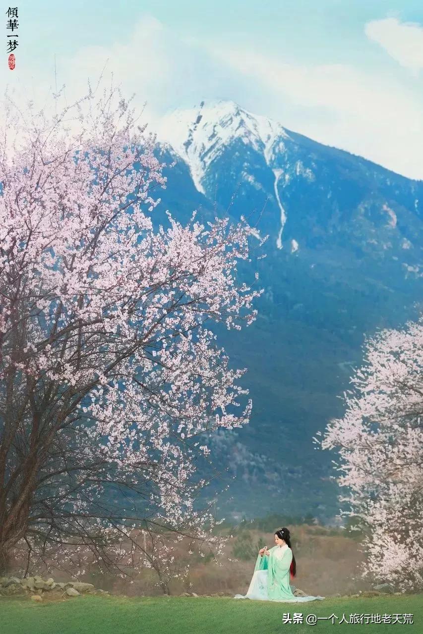 国内最适合一个人旅行的20个地方!去过才懂得什么是自由