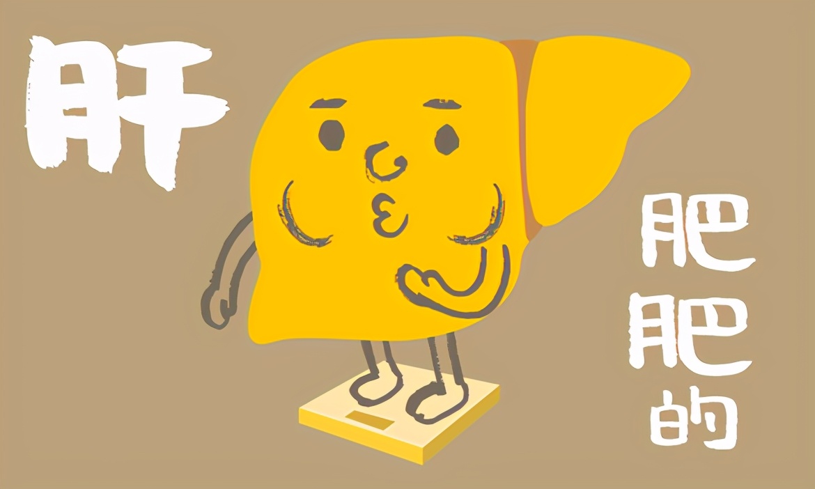 脂肪性肝炎与脂肪肝的区别,脂肪肝是绝症吗