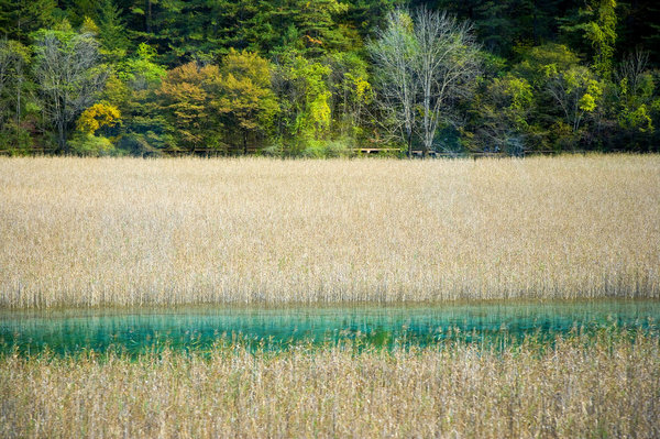 驴妈妈10.28会员日优惠上线领2000元秋游券抽奖0元游日本