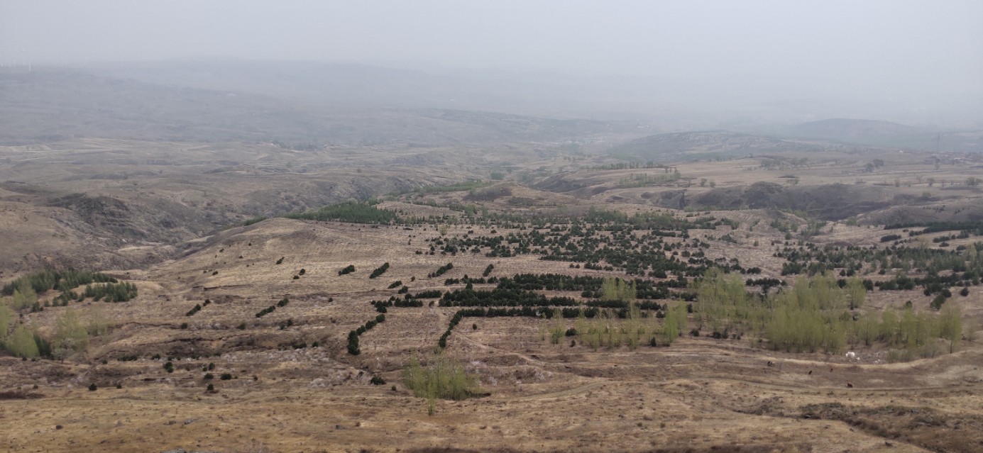 五六月份去张北草原天路别有一番风味（内附详细攻略）