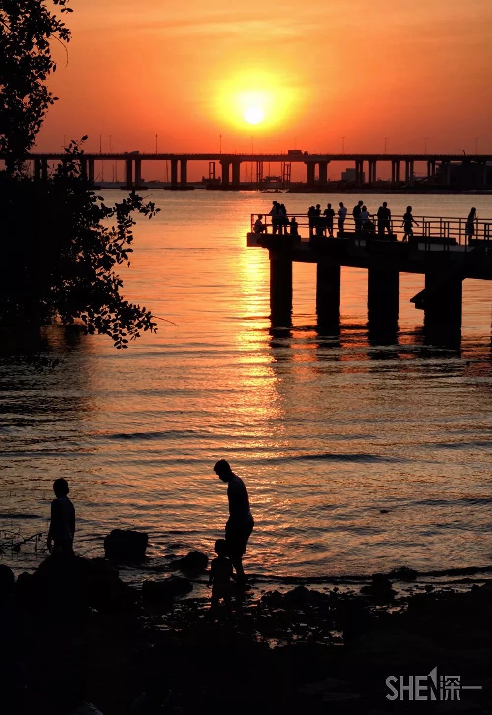 坐地铁1号线攻略,深圳1号线游玩攻略免费