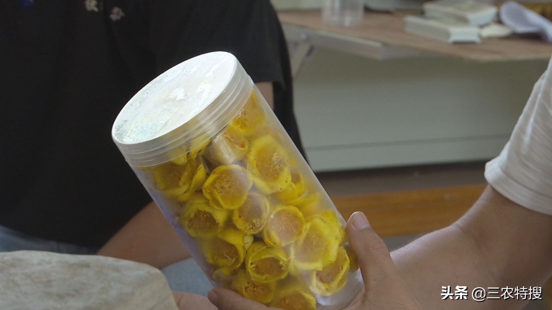 种植金花茶一年赚多少钱,金花茶种植前景与效益