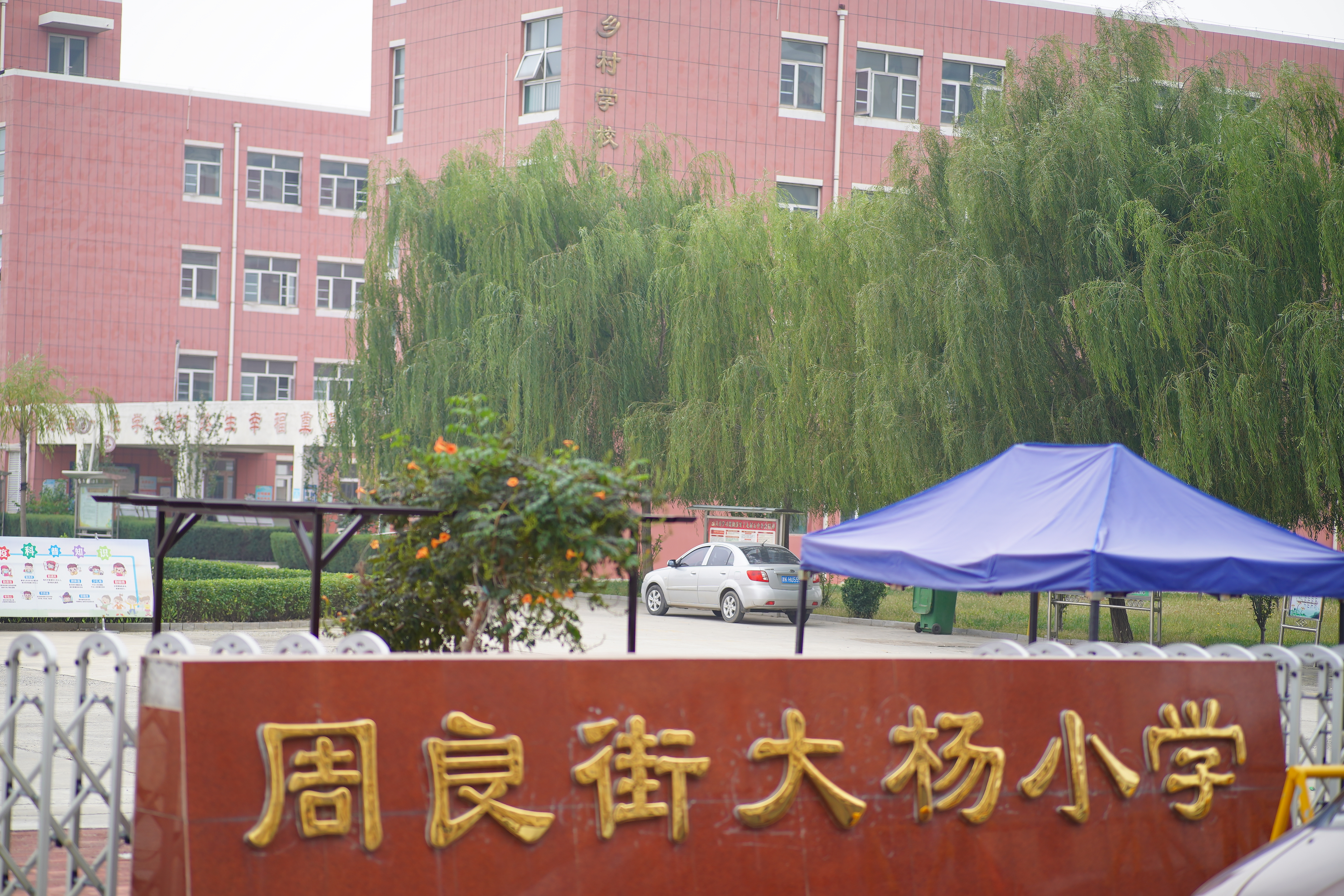 瀹濆澔浜触鏂板煄涓轰粈涔堟槸楝煎煄,瀹濆澔浜触鏂板煄杩樻槸楝煎煄