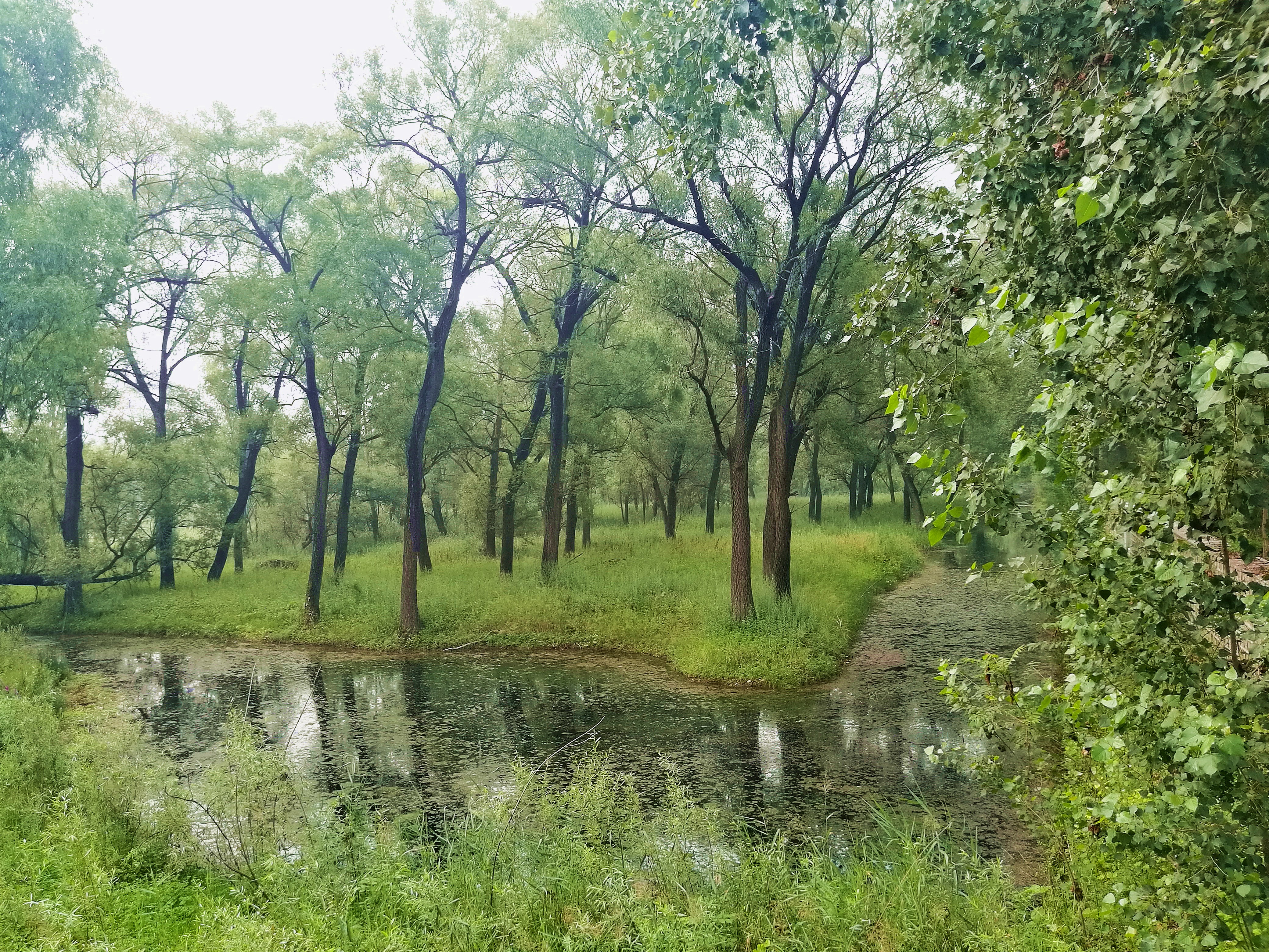河北涞源避暑,涞源比秦皇岛凉快吗