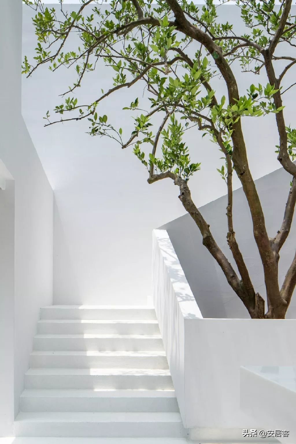 萧敬腾家里八层楼,萧敬腾的家究竟有多豪华