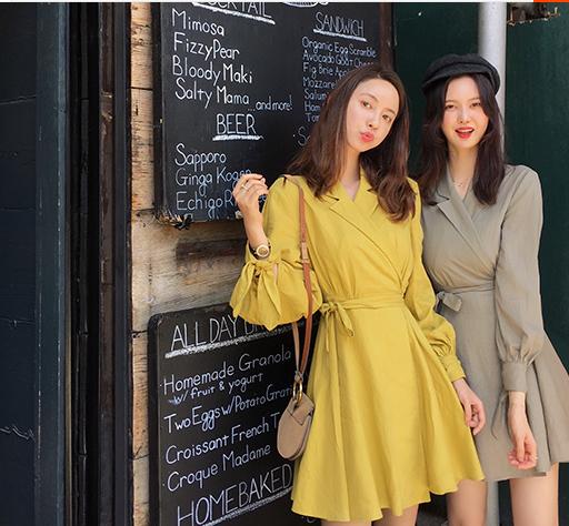 张大奕为什么被称为大陆第一网红,网红张大奕品牌