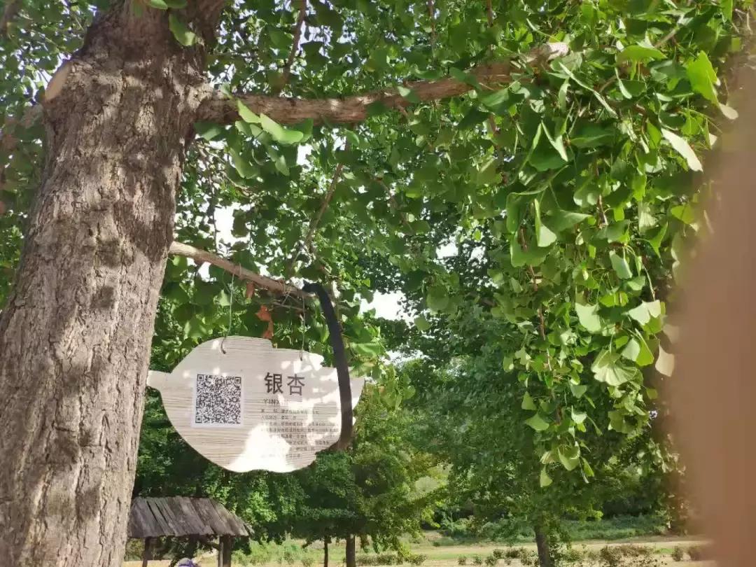 此生一定去要去的地方,此生一定要去这个地方