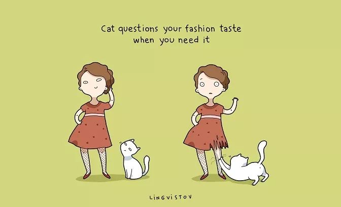 铲屎官的快乐你不懂,铲屎官的乐趣没有猫粮