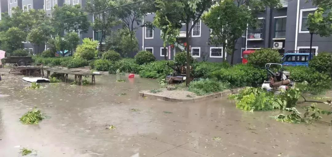 泗洪周边暴雨最新状况,泗洪大雨暴雨视频最新