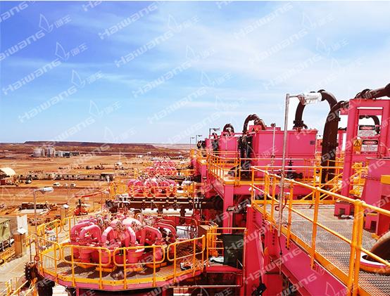 海王集团海外工厂,海王集团2020年大型项目