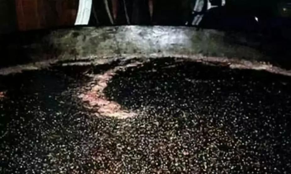 勃艮第入门知识,酵母死亡酒精继续发酵