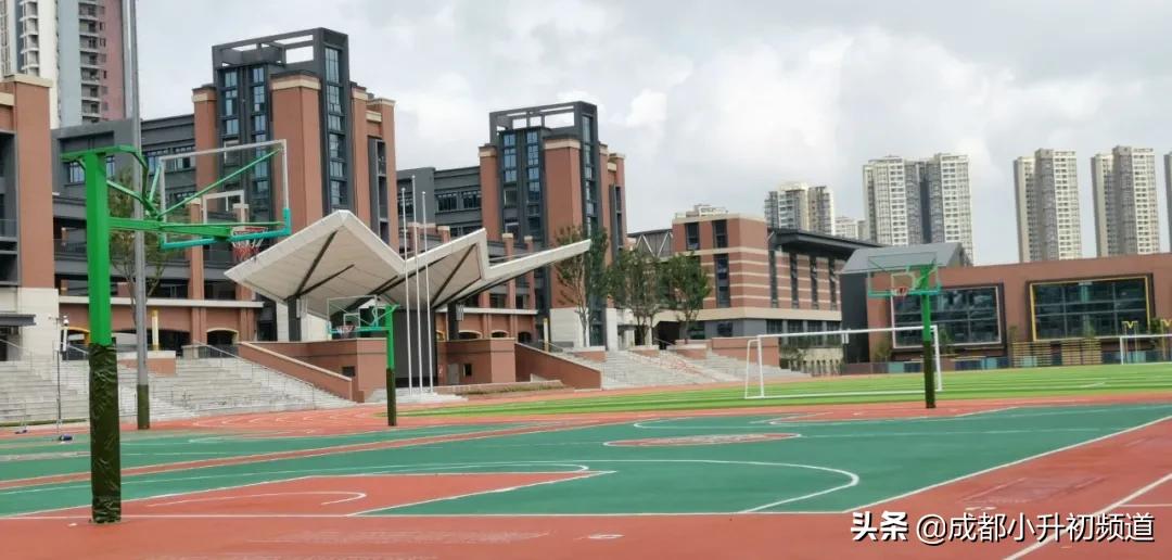 实外西区成外,实外西区高中学校招生