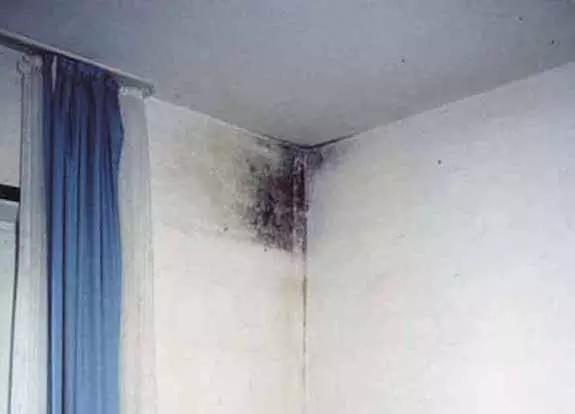 最好的户型全部,不得不说的现在最经典的户型