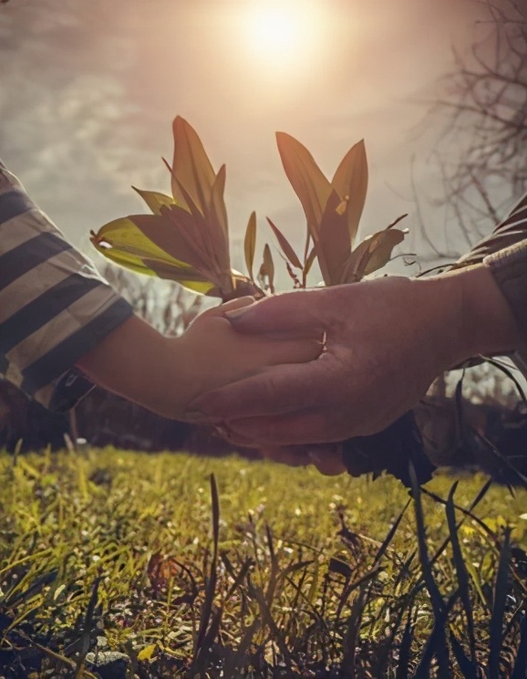 金辉西北X保时捷车友会丨“以爱之名守护天使”公益行