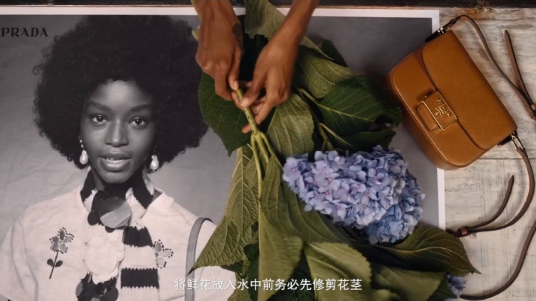 女王节，Prada鲜花让时尚破格融入日常