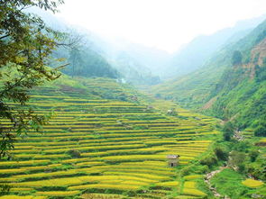 瑶山古寨五一旅游,瑶山古寨一日游