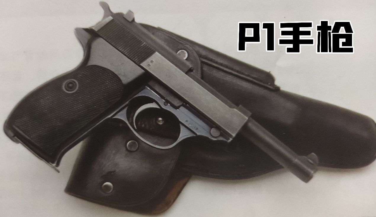 英国枪史图册全篇,德国枪图片