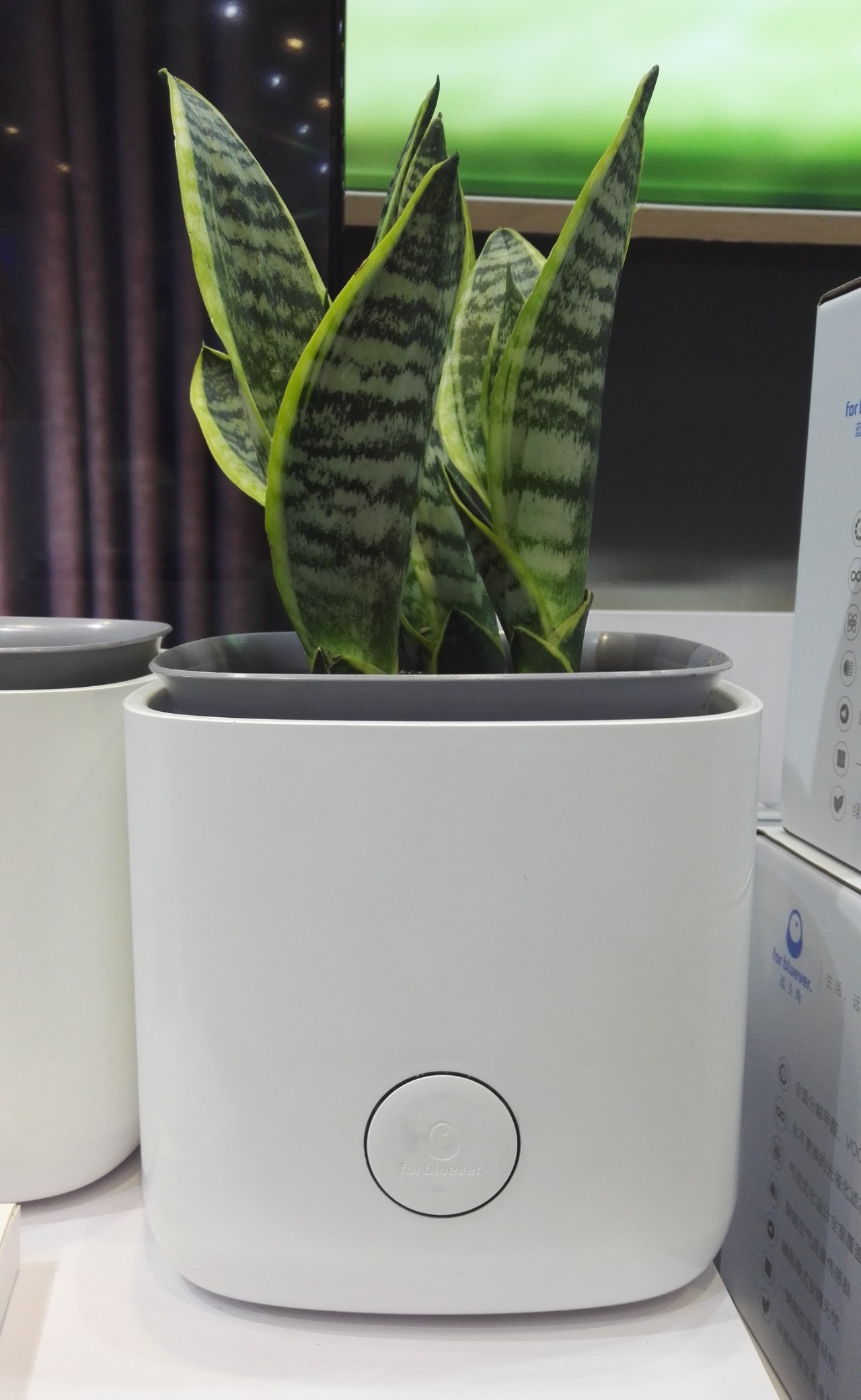 最有科幻科技感ar眼镜,硅谷ar公司