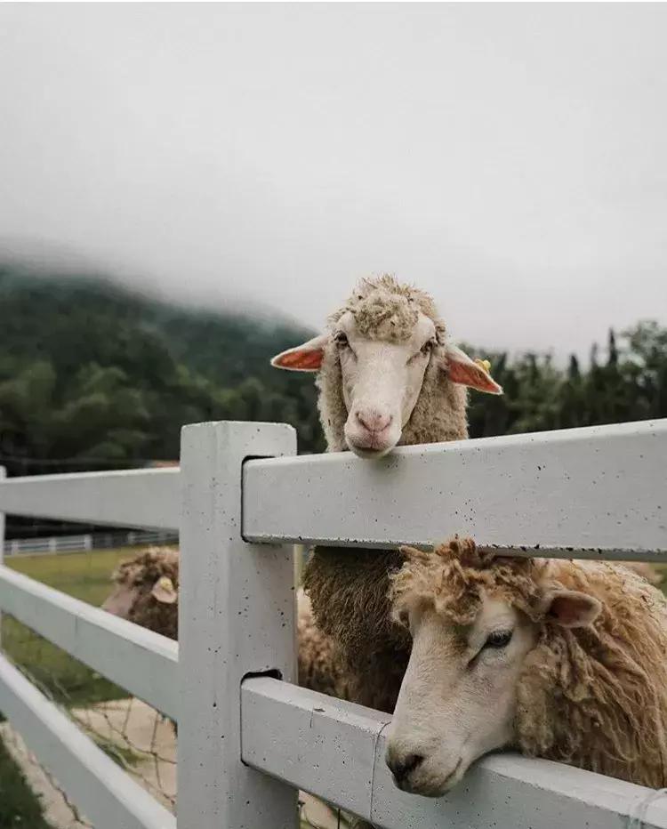 南宁到泰国旅游可以落地签吗,泰国落地签南宁