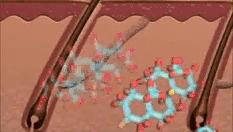 Dior、娇兰生产商做了一块洗头皂，100%天然原料，生发更护发