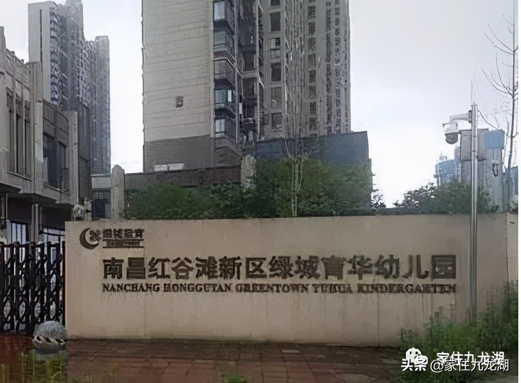 九龙湖幼儿园推荐,九龙湖幼儿园