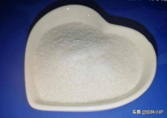 花盆里撒一把它根不烂叶不黄,花盆里撒点料花草再也不长虫