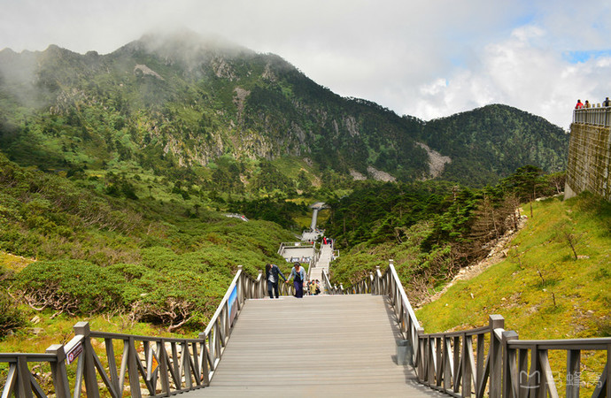 烟雨朦胧梦回云南 (随心所欲梦回云南)