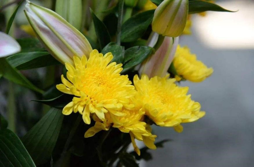 中元节可怕,中元节传统祭祀的危害动画