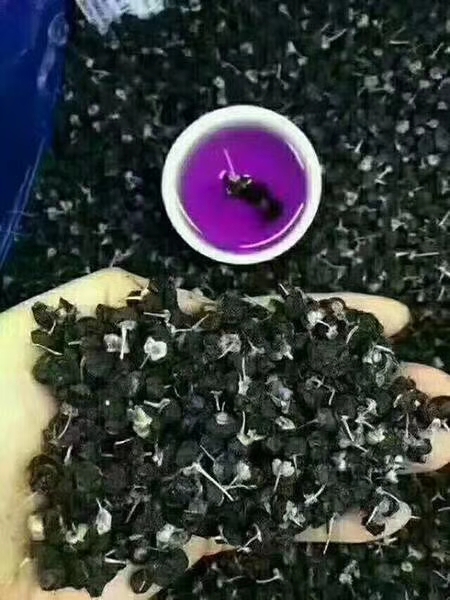 外胚型体质性格,体质与性格的关系