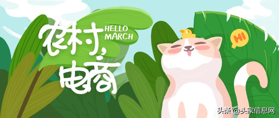 农村电商的融资计划怎么写,农村电商融资计划