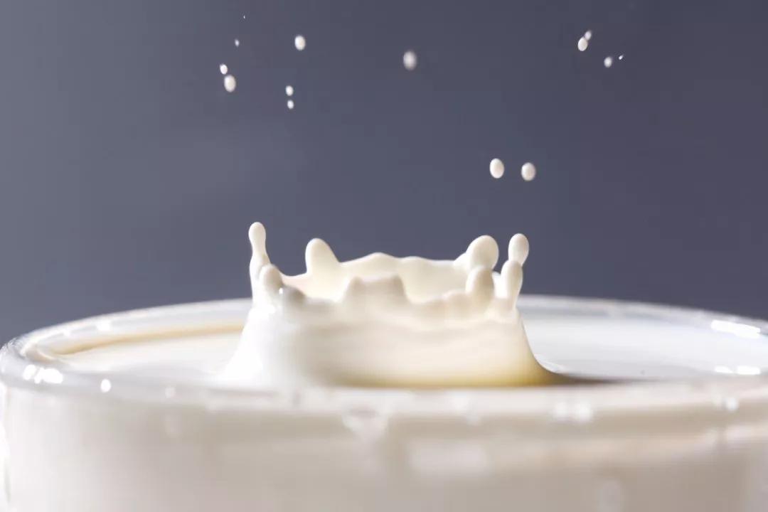 「9快9羊酸奶·羊奶百科」羊奶的基本知识