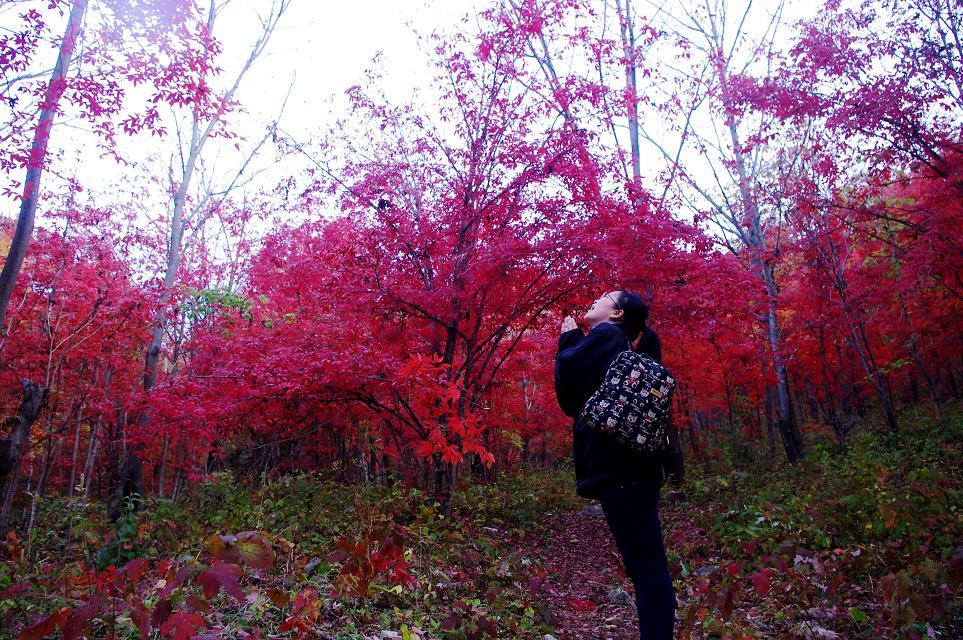 十一沿途风景,十一去红叶谷的景致