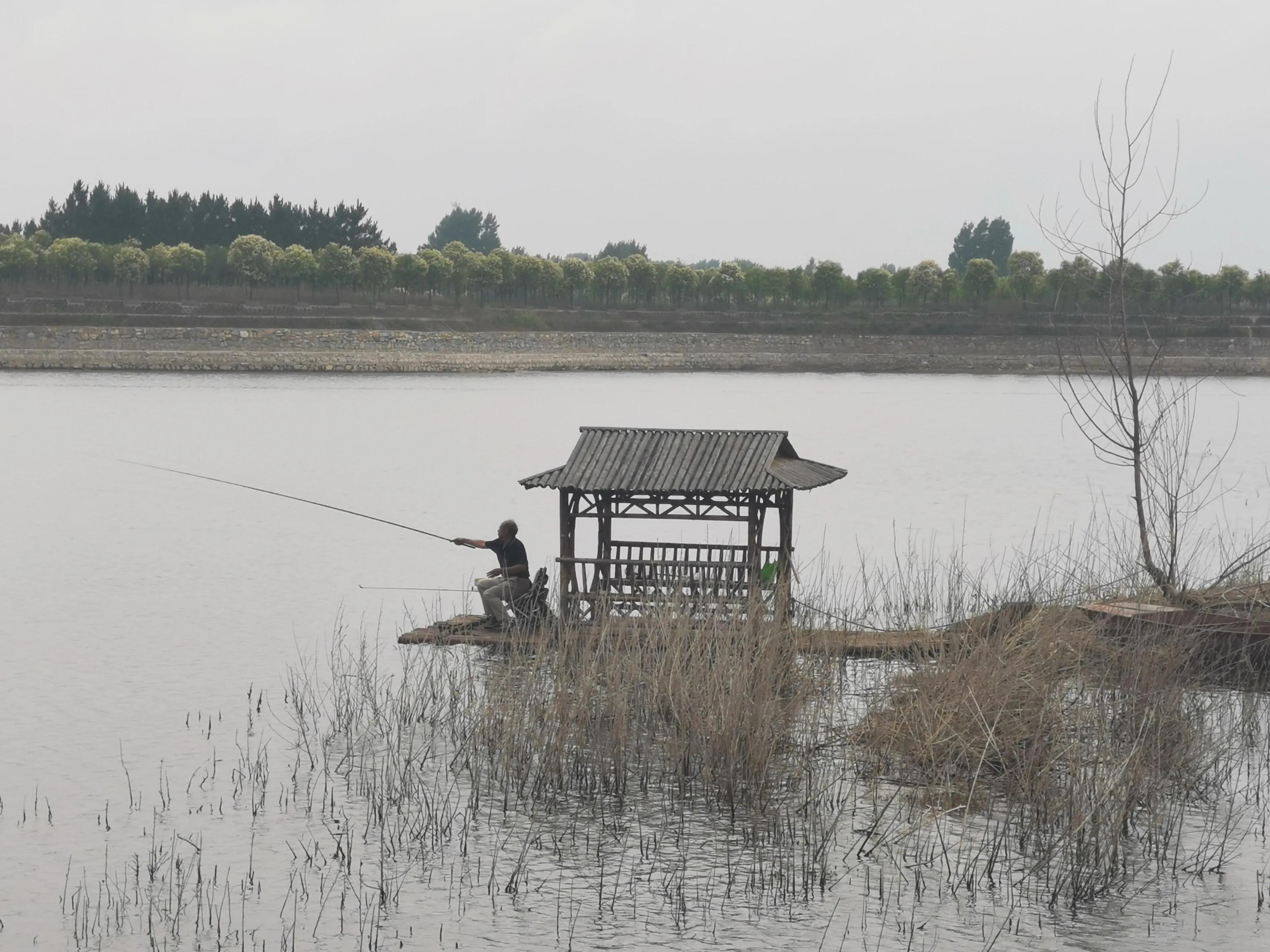 手机摄影手册圈友作品选第7期,手机摄影手册圈友作品选第6期