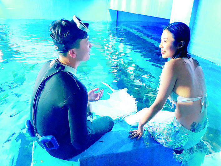 美人鱼水下表演不会被鱼咬吗,美人鱼会咬燕鱼吗