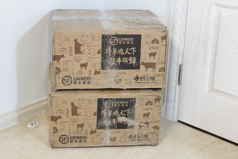 真力G1监听有源音箱,真力有源监听音箱效果