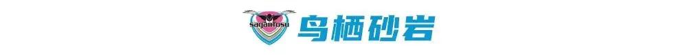 日本j联赛球队名字,日本足球j联赛成绩及排名