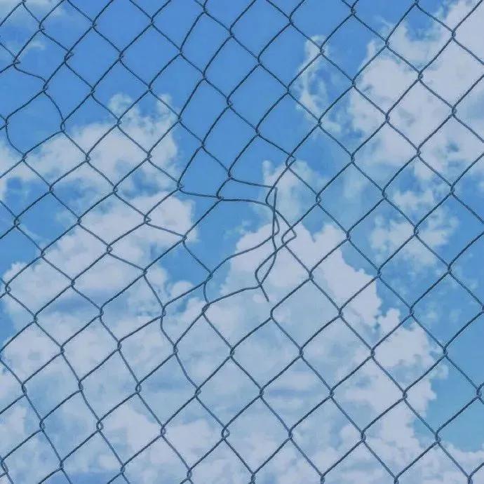 请你不要逼我语录,为什么就不能让我过得开心一点